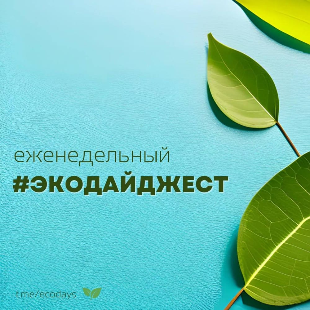 Экодайджест: В Госдуме предложили штрафовать хозяев за самовыгул собак в размере МРОТ