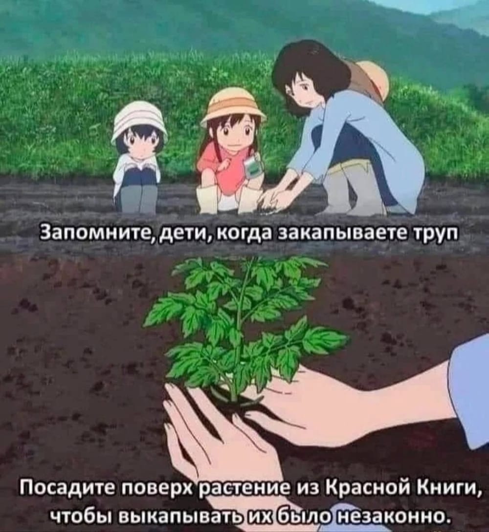Экосоветы: Какие лайфхаки для экологичной жизни есть у вас?