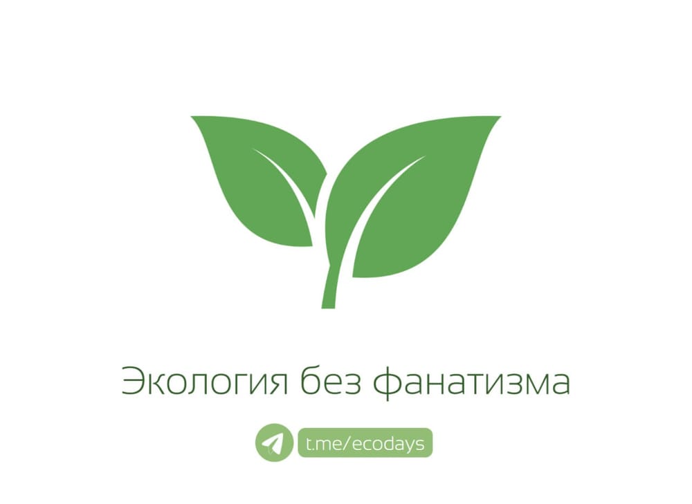 "Экология без фанатизма" — не просто медиа, а кладезь полезных материалов по простому переходу на более экологичный образ жизни. Без фанатизма.