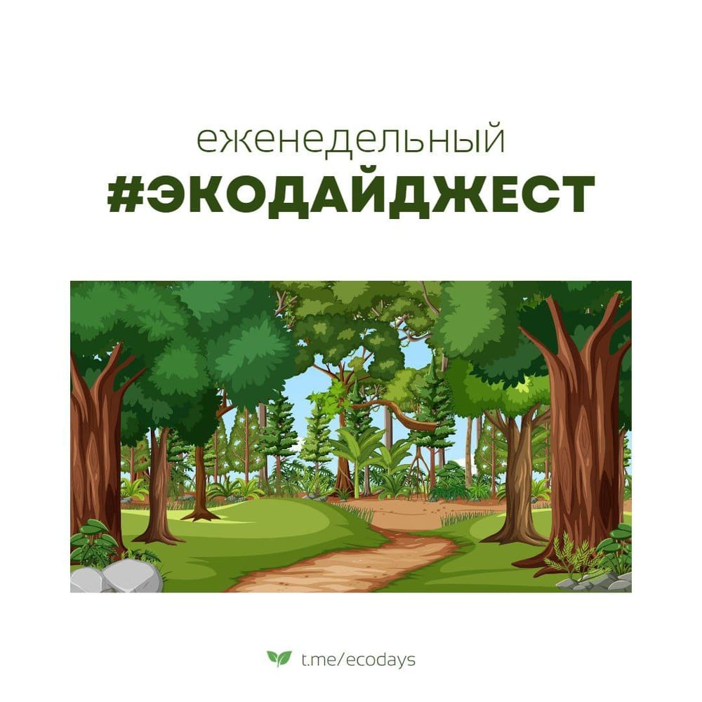 Экодайджест: Правительство одобрило запрет на использование маркировки «эко»