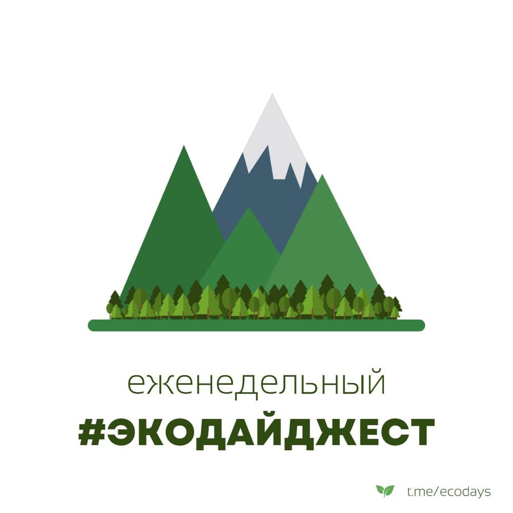 Экодайджест: В морской воде возле Фукусимы зафиксировали наличие трития