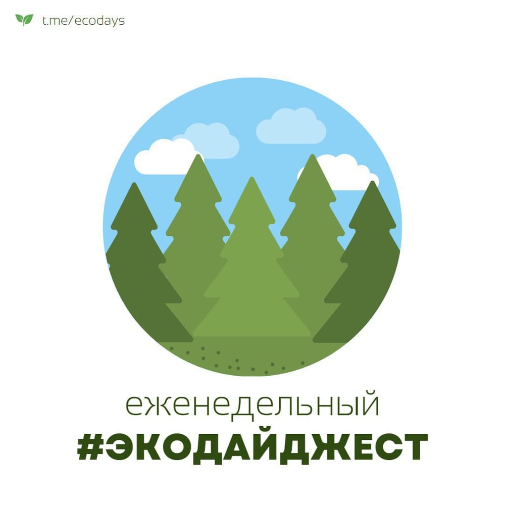 Экодайджест: Климатические активисты прервали выступление симфонического оркестра под…