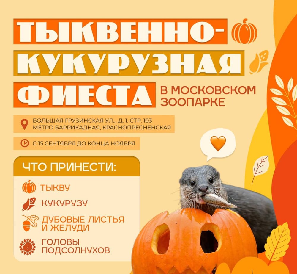 Московский зоопарк принимает излишки дачного урожая 🌽