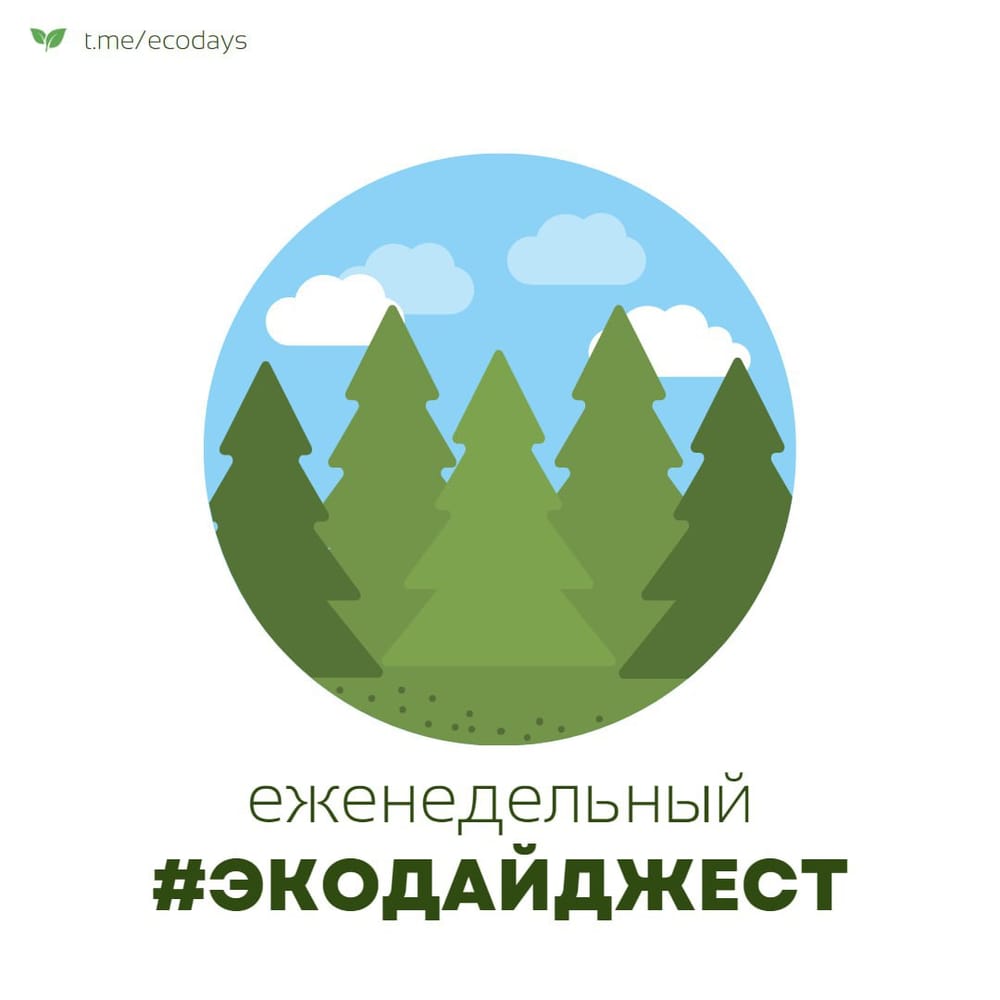 Экодайджест: В Саратовской области зафиксировано самое серьезное падение уровня Волги за…