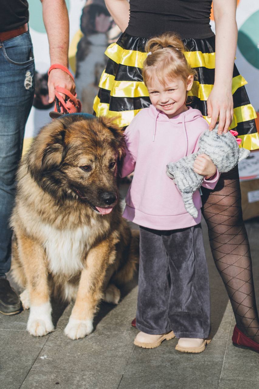 «Хвостатый субботник» от фонда помощи животным «Поделись с другом»🐾