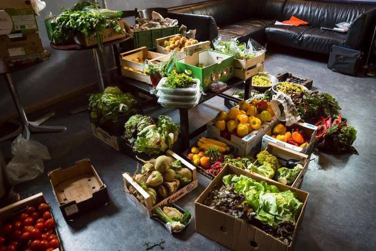 🍅 Поддержка правительством фудшеринга может значительно сократить пищевые отходы в России