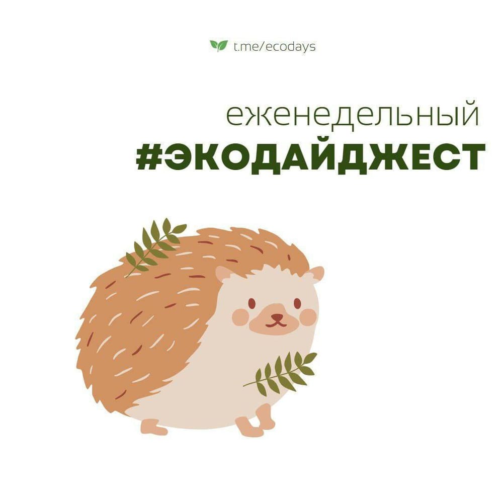 Экодайджест: Датские учёные создали таблетку, которая может заменить усиленную тренировку…