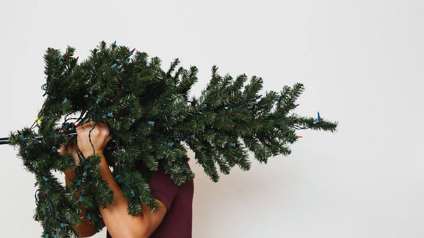 🎄 Вторую жизнь искусственным елям дарят экоактивисты в Салехарде
