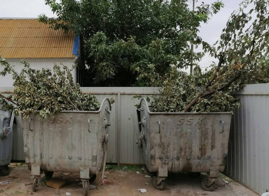 🥒 В России подняли вопрос отдельного сбора растительных отходов