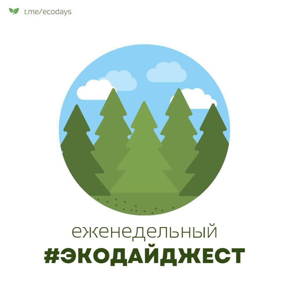 Экодайджест: На Сахалине молодые деревья будут охранять специальные отряды лесников и…