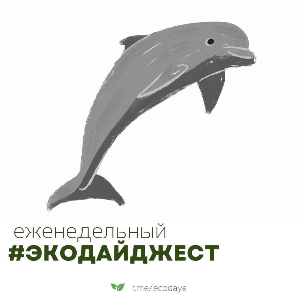 Экодайджест: В районе мыса Панагия, где сел на мель танкер «Волгонефть-239»