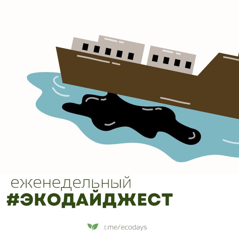 Экодайджест: Карта последствий разлива мазута очень расстраивает — Анапа, Благовещенская