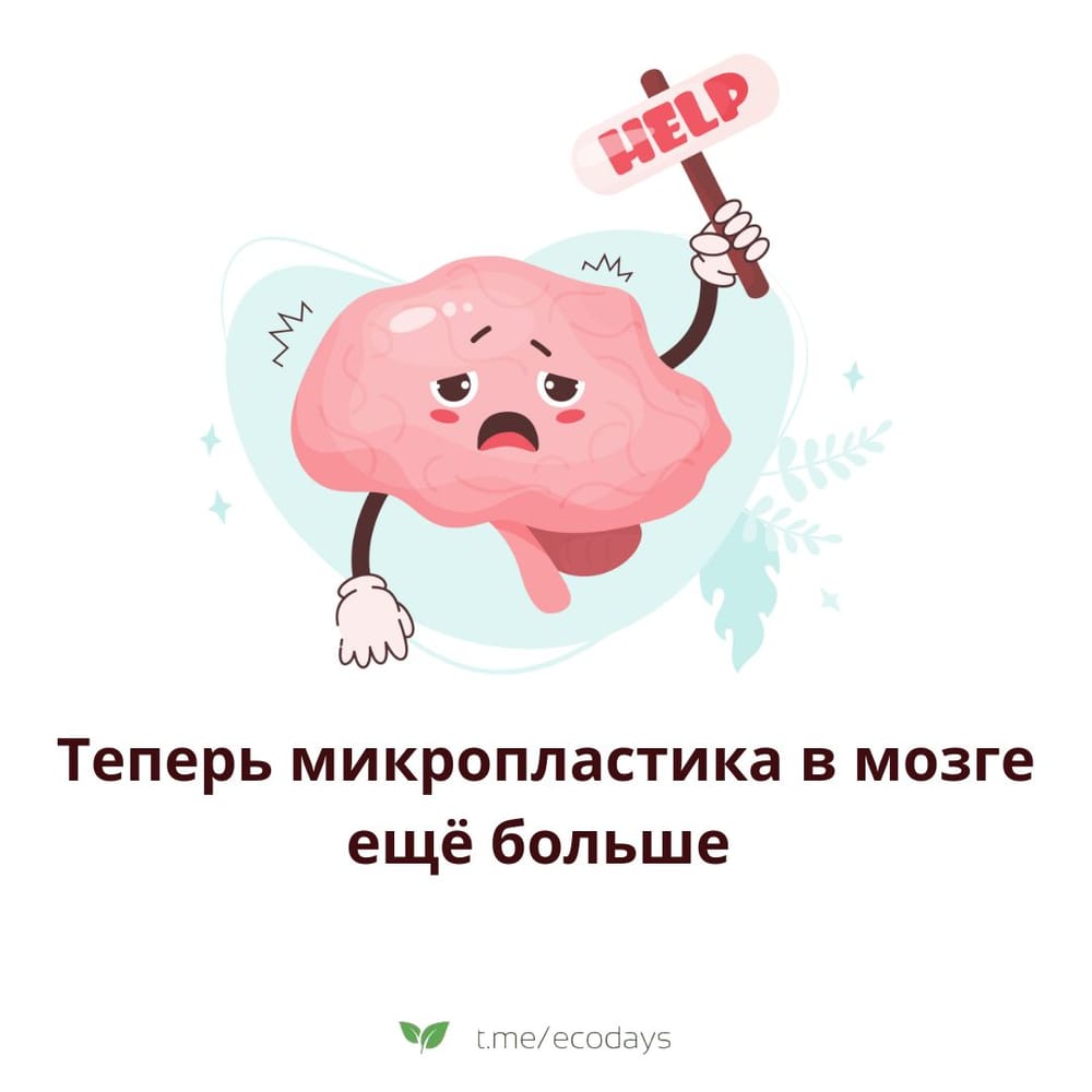 🧠 Недавние исследования, опубликованные в журнале Nature Medicine, показали, что в мозге…