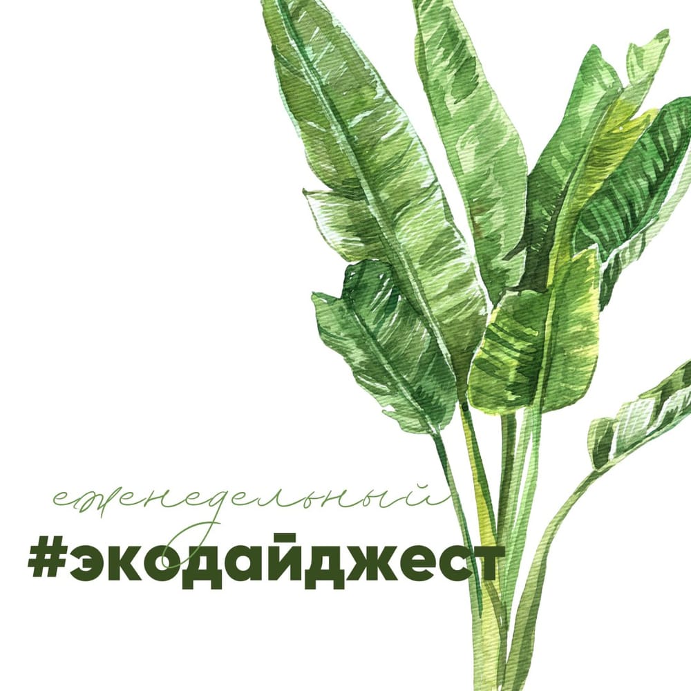 Всем привет! Что интересного случилось за последние дни?