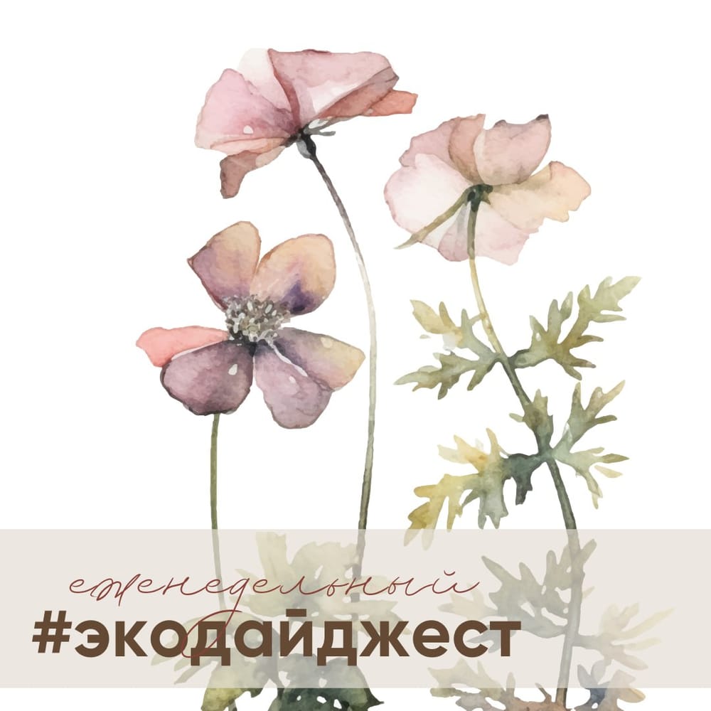 Экодайджест: В связи с пожарами режим ЧС введён в четырёх регионах России