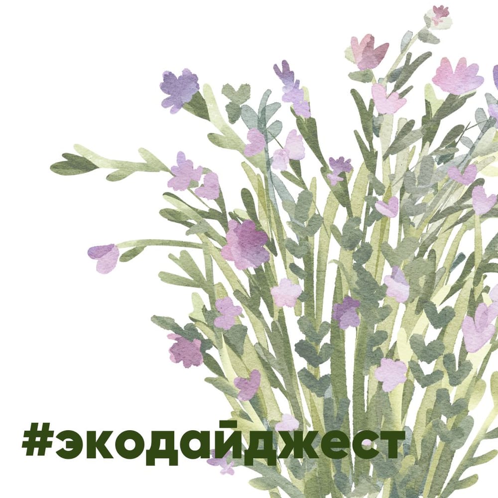 Экодайджест: На XI Невском экоконгрессе обсудили роль трансграничного сотрудничества в…