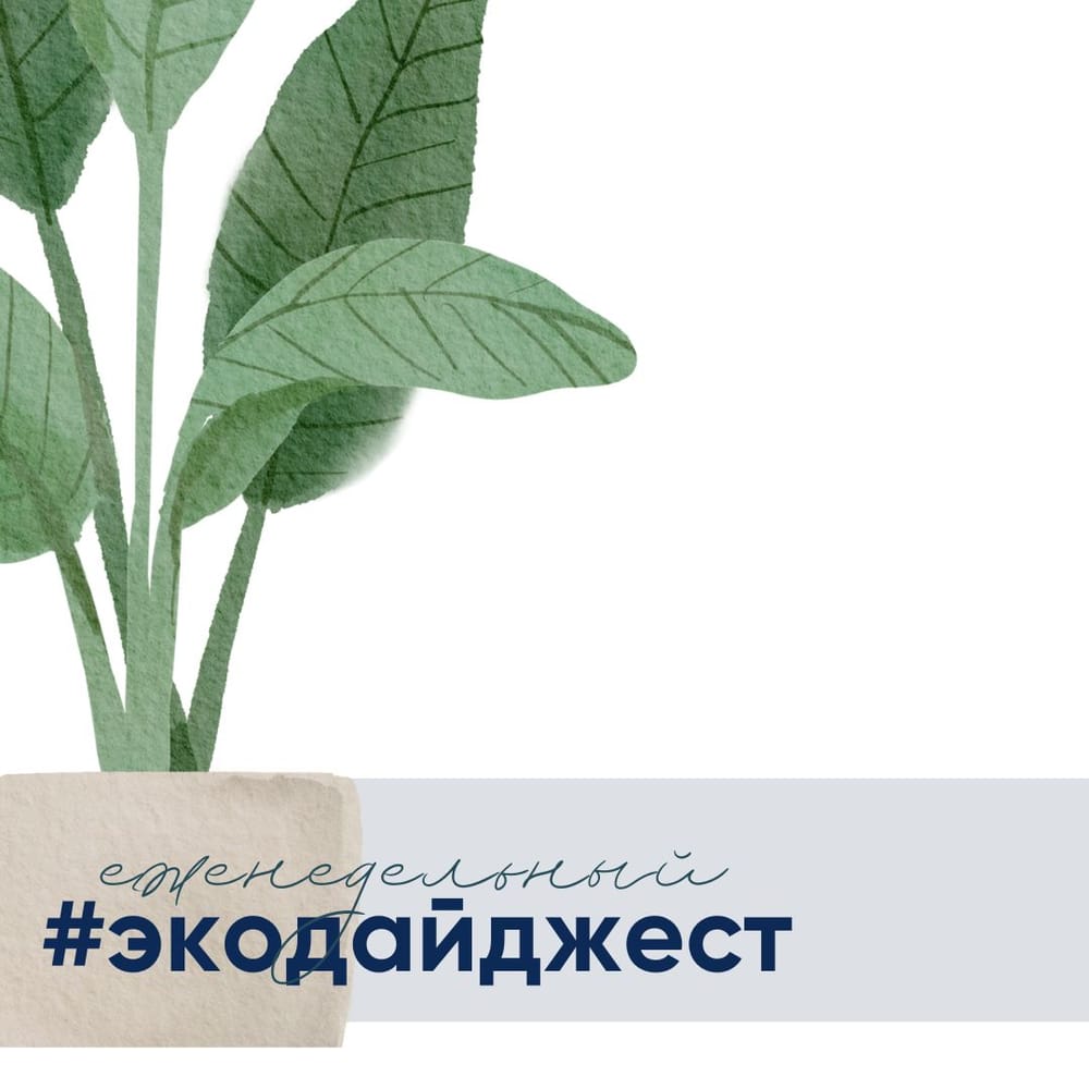 🔥 Масштабные пожары в Австралии — в штате Виктория бушуют лесные пожары, которые уже…