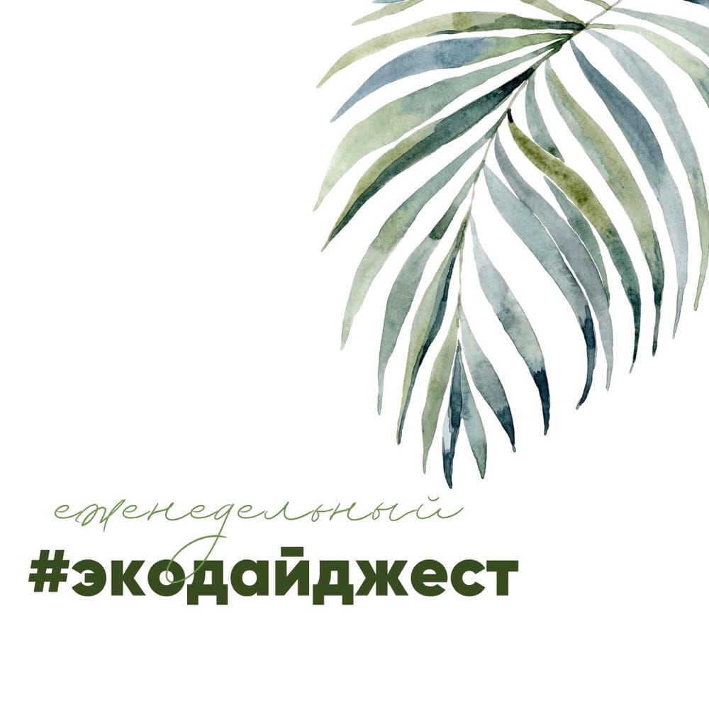 ✈️ Амстердам и Флоренция запретили рекламу ископаемого топлива и мяса.