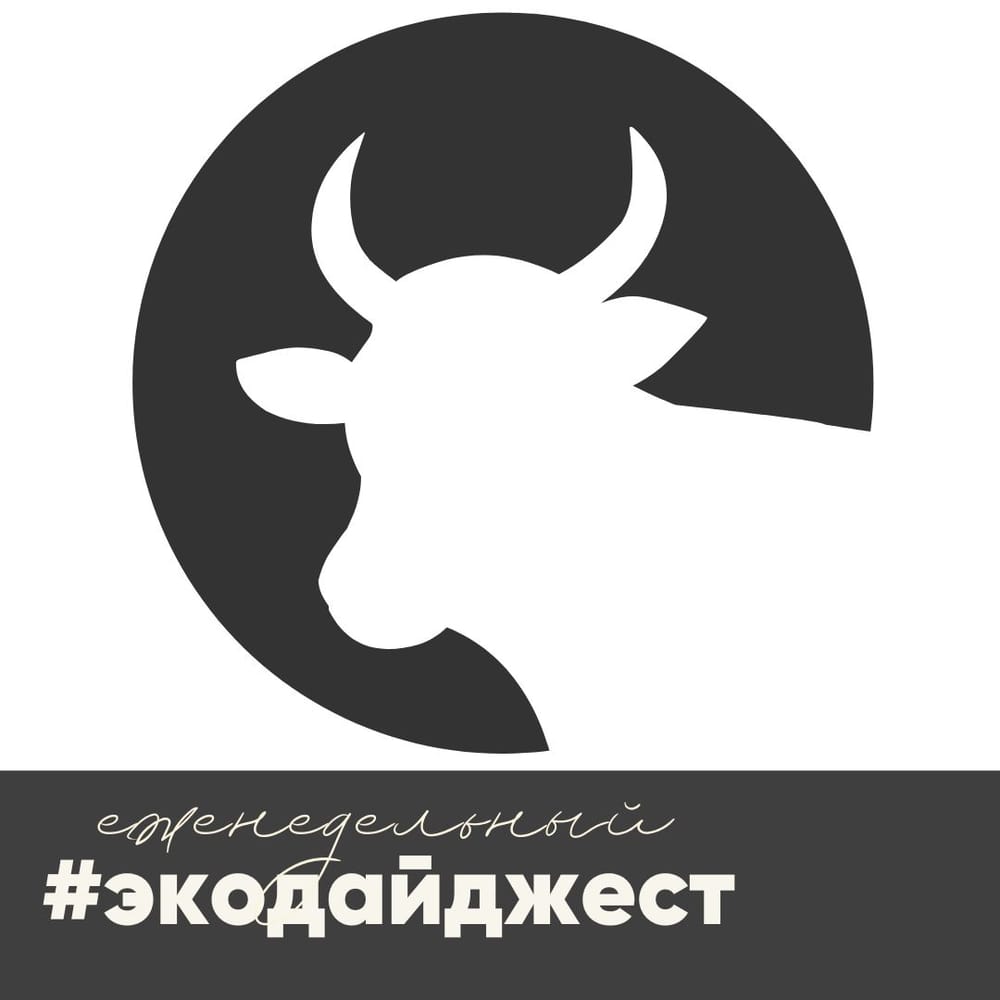Если среди происходящего вокруг... безумия найдётся человек, которого заинтересует скромная экоповестка, то велкам, этот #экодайджест для вас 🫶🏻