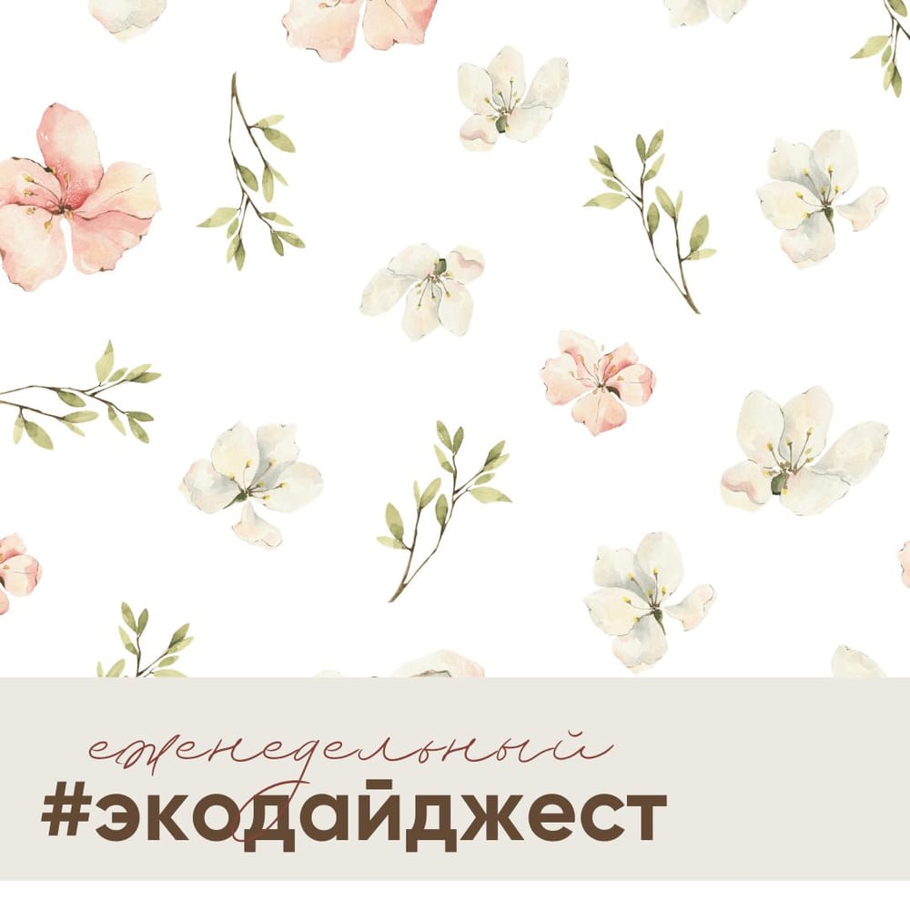 Экодайджест: Индонезия запретила катание на слонах по всей стране