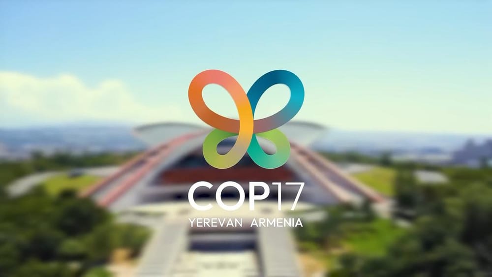 🌍 Страны снова обсуждают, как защитить природу на COP17