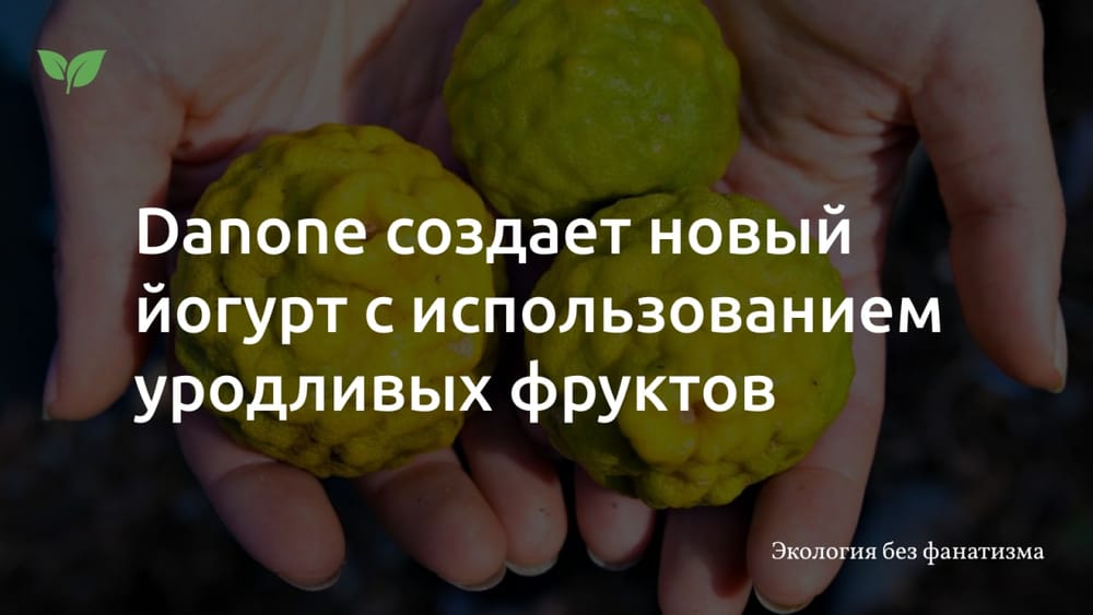 Компания Danone создает новый йогурт с использованием уродливых фруктов