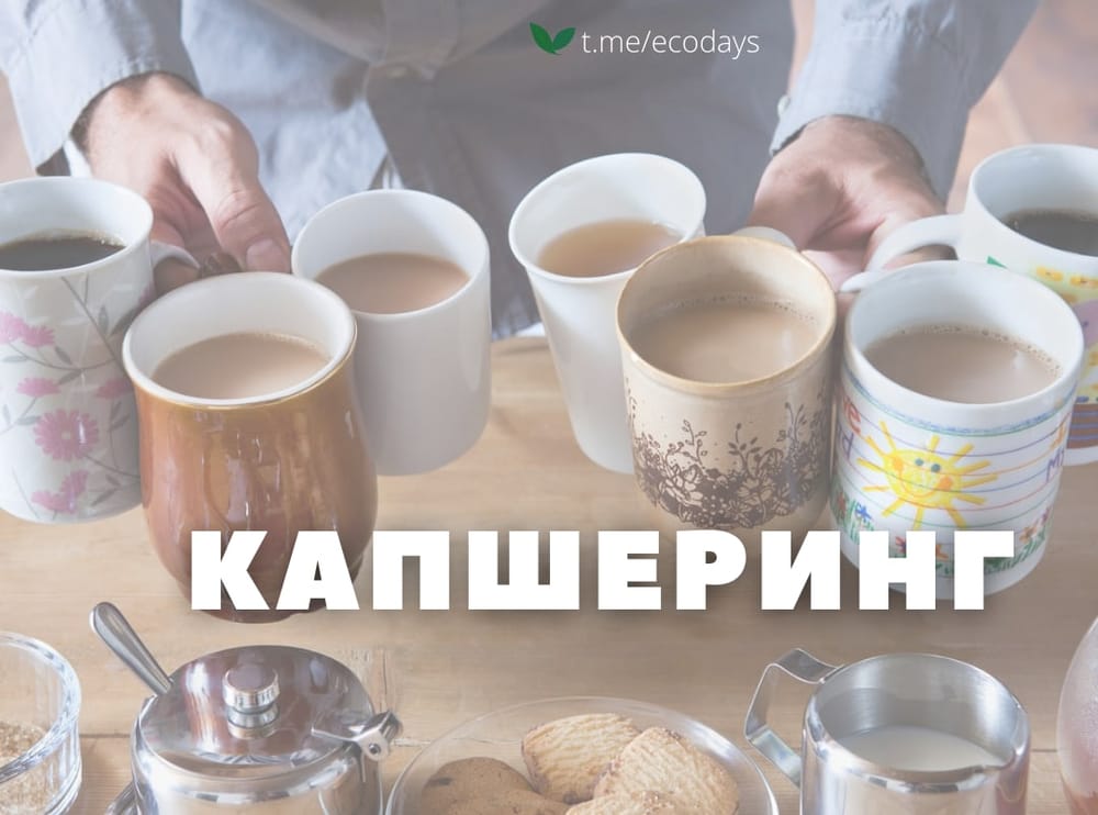 Экотермины: Уверена, что вы отлично знакомы с «каршерингом»
