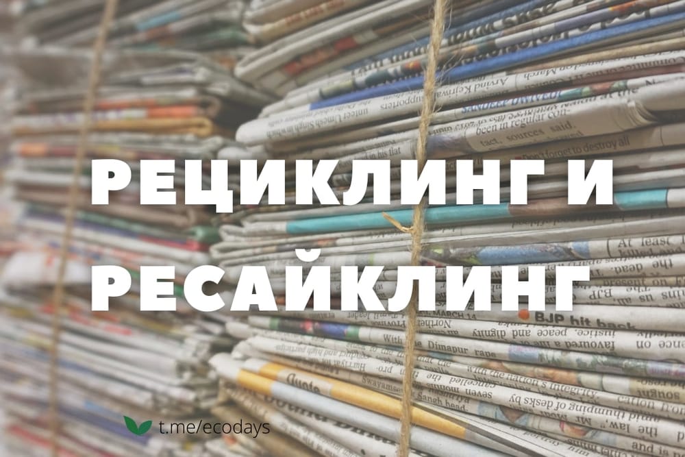 Экотермины: Рециклинг и ресайклинг: в чем разница?