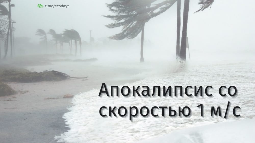 На испанском острове Ла-Пальма уже больше двух месяцев бушует настоящее стихийное…