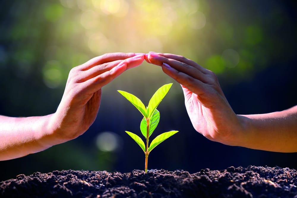 🌱Сколько тратит человечество в год на проекты, убивающие природу?