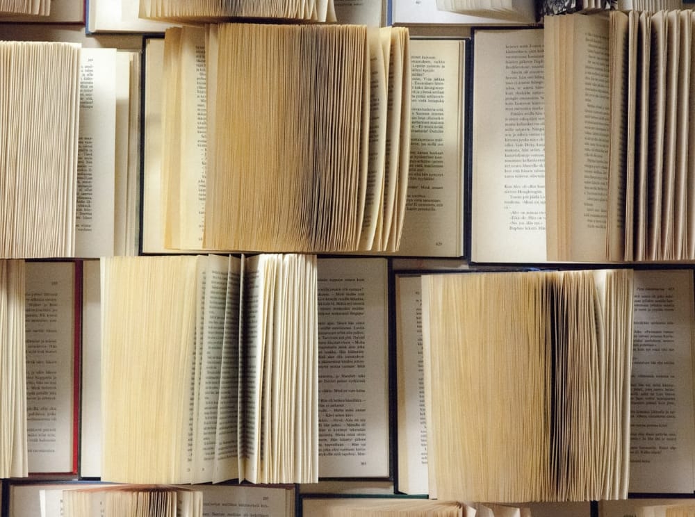 Книжные новинки 2022 в области экологии и климата 📚