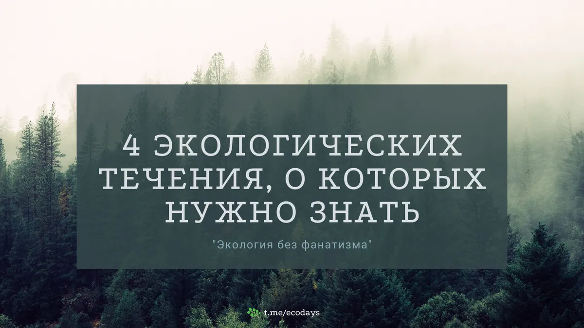 4 экологических течения, о которых нужно знать