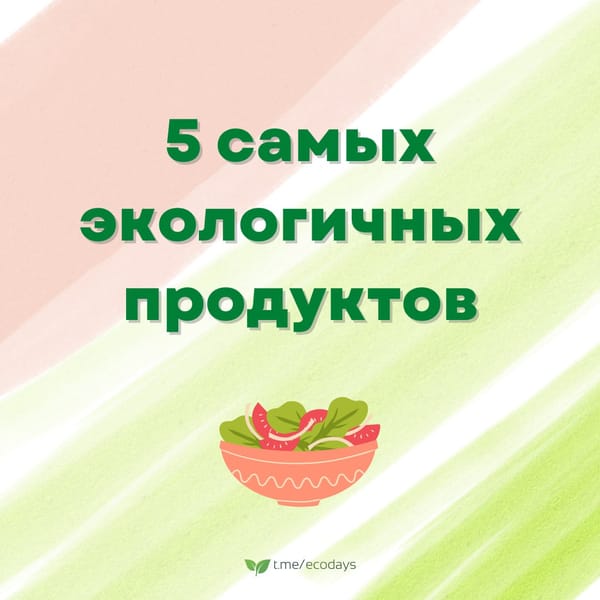Экосоветы: 5 самых экологичных продуктов