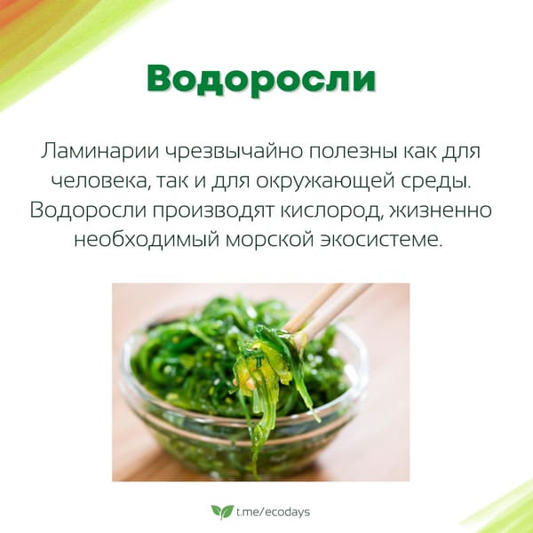 Экосоветы: 5 самых экологичных продуктов