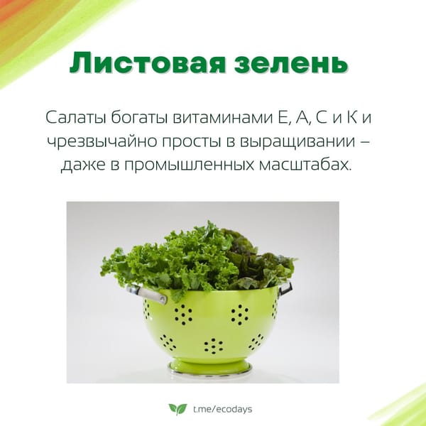 Экосоветы: 5 самых экологичных продуктов