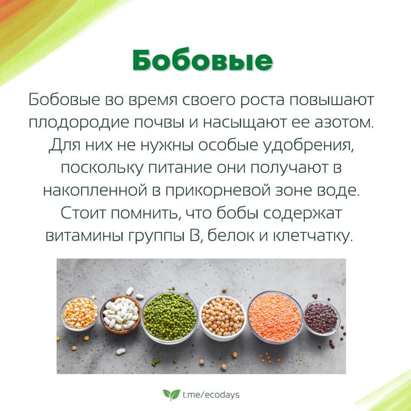 Экосоветы: 5 самых экологичных продуктов