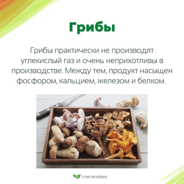 Экосоветы: 5 самых экологичных продуктов