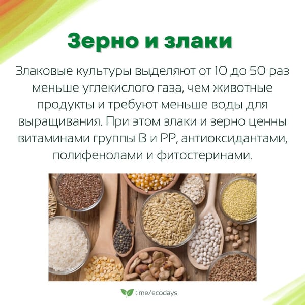 Экосоветы: 5 самых экологичных продуктов