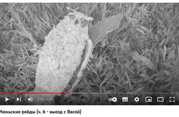 Кроухантеры в Одинцово🐦‍⬛