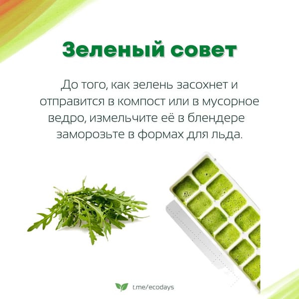 Экосоветы: Подготовили для вас новую порцию экосоветов