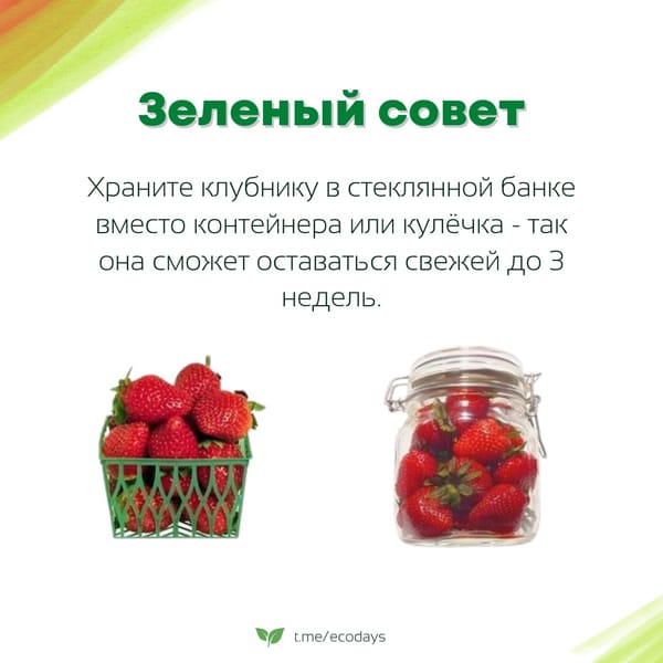 Экосоветы: Подготовили для вас новую порцию экосоветов