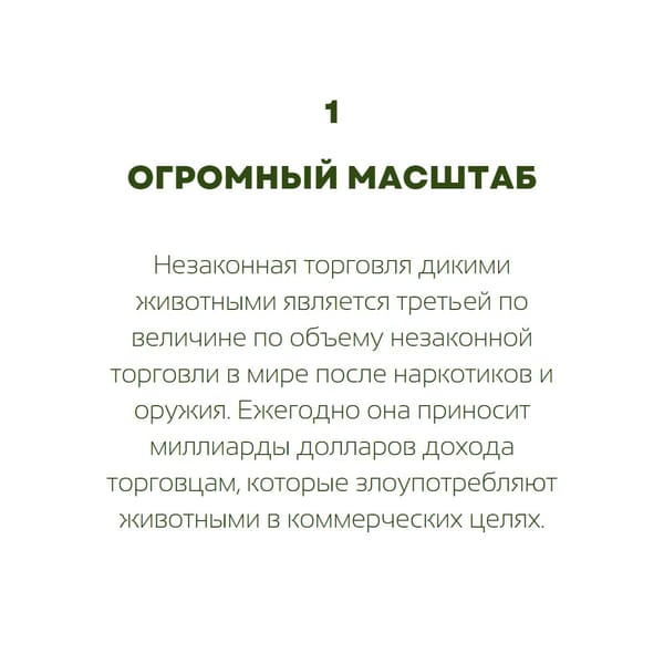 Пять интересных фактов про незаконную торговлю дикими животными в карточках от @ecodays 🌱