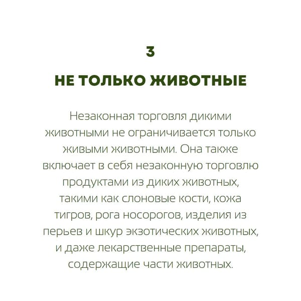 Пять интересных фактов про незаконную торговлю дикими животными в карточках от @ecodays 🌱