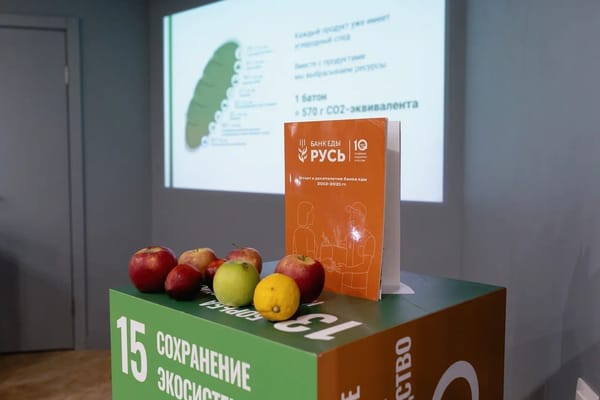 🥦 1/3 продуктов питания в мире выбрасывается – мы не можем перестать поражаться этому факту