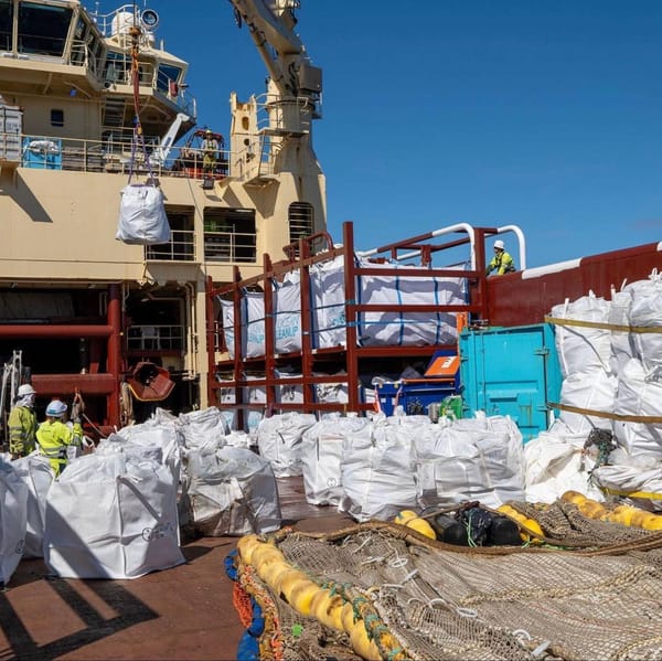 The Ocean Cleanup — неправительственная инженерная организация, базирующаяся в…