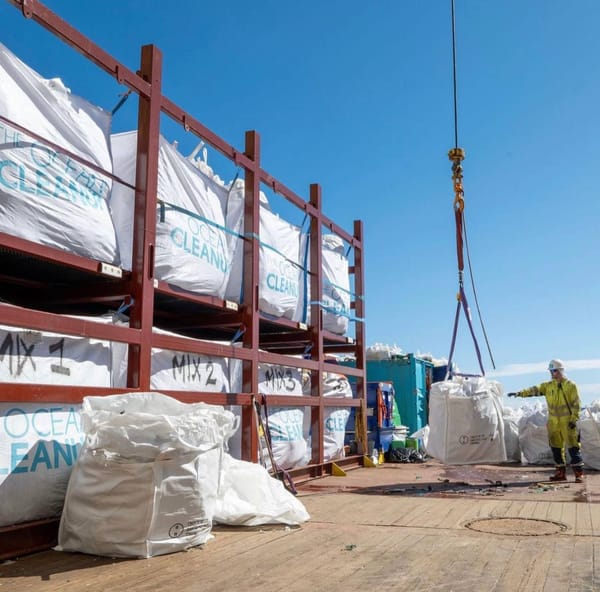 The Ocean Cleanup — неправительственная инженерная организация, базирующаяся в…