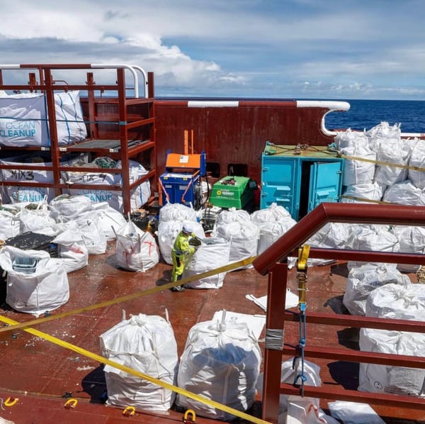 The Ocean Cleanup — неправительственная инженерная организация, базирующаяся в…