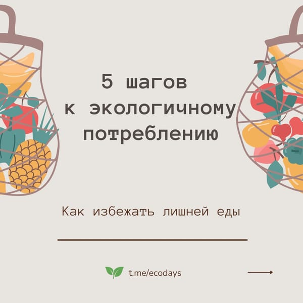 5 шагов к экологичному потреблению @ecodays 🫶