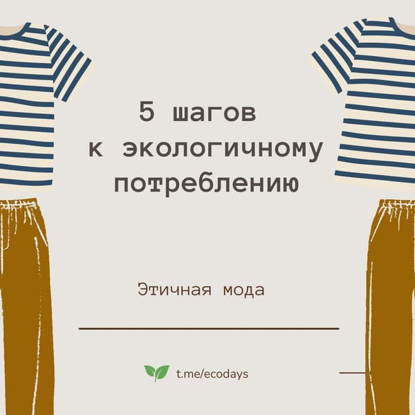 5 шагов к экологичному потреблению 🌱