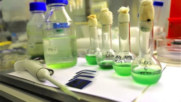 🦠 Учёные из «ЛЭТИ» создали экологичную батарею с использованием микроорганизмов
